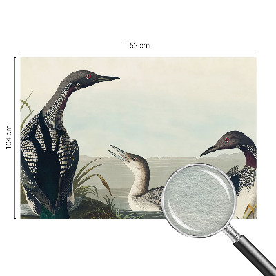 Wall mural for bedroom Birds over the water