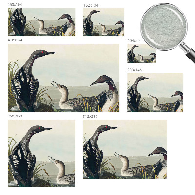 Wall mural for bedroom Birds over the water