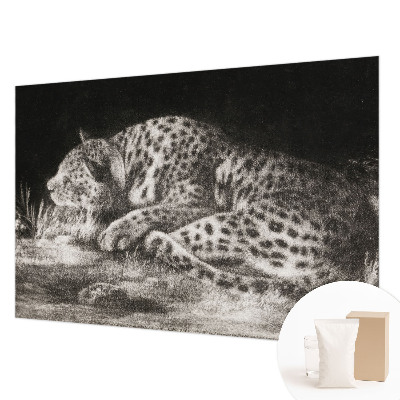 Photo wall mural Leopard resting