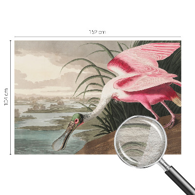 Modern wall mural for bedroom Exotic bird