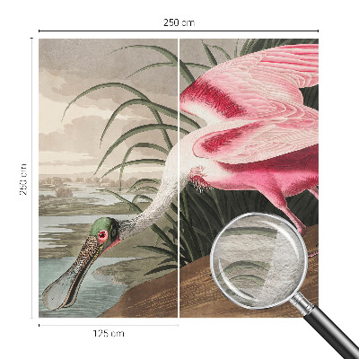 Modern wall mural for bedroom Exotic bird