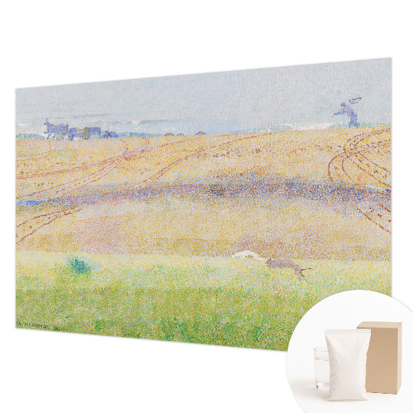 Modern wall mural for living room Summer field