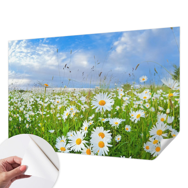 Peel and stick wallpaper mural with a summer meadow design