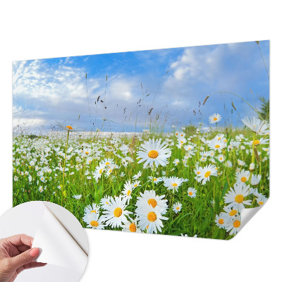 Peel and stick wallpaper mural with a summer meadow design