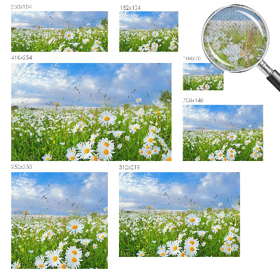 Peel and stick wallpaper mural with a summer meadow design