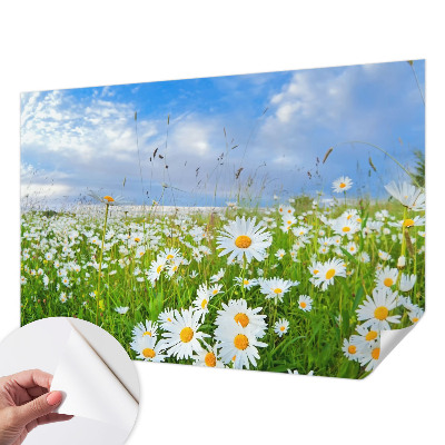 Peel and stick wallpaper mural with a summer meadow design