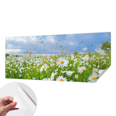 Peel and stick wallpaper mural Summer meadow