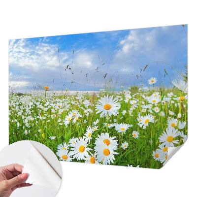 Peel and stick wallpaper mural with a summer meadow design