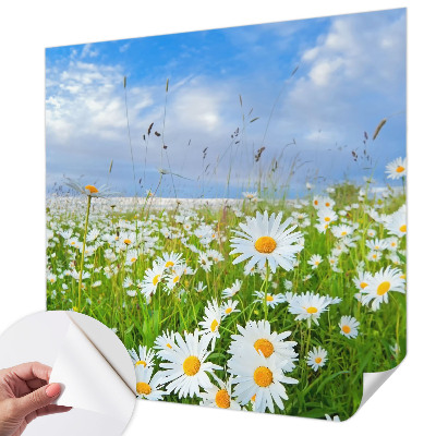 Peel and stick wallpaper mural with a summer meadow design