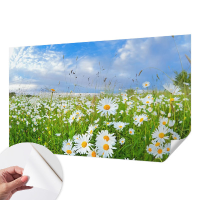Peel and stick wallpaper mural with a summer meadow design