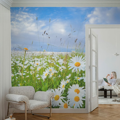 Peel and stick wallpaper mural with a summer meadow design