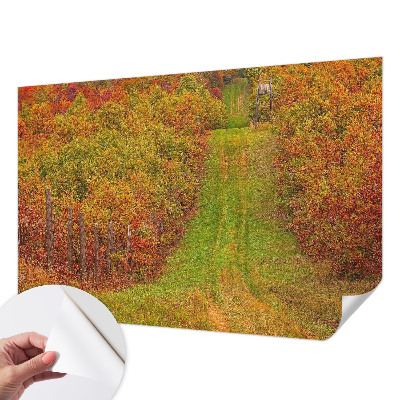 Removable wall mural with an autumn color palette
