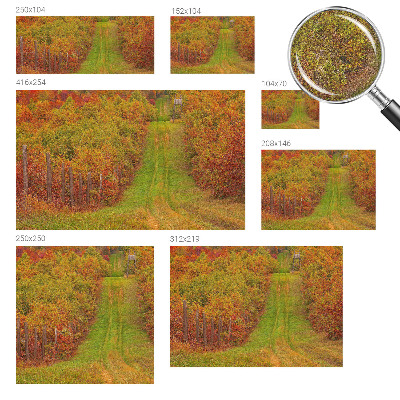 Removable wall mural with an autumn color palette