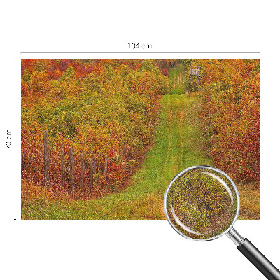 Removable wall mural Autumn colors