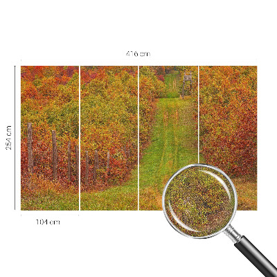 Removable wall mural Autumn colors