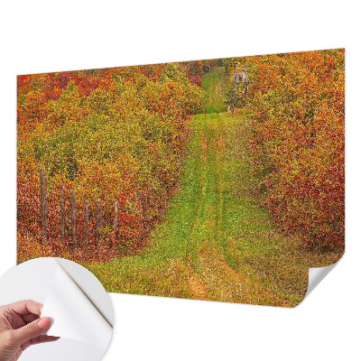 Removable wall mural with an autumn color palette