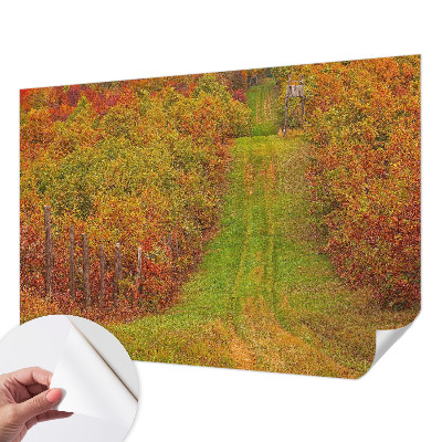 Removable wall mural with an autumn color palette