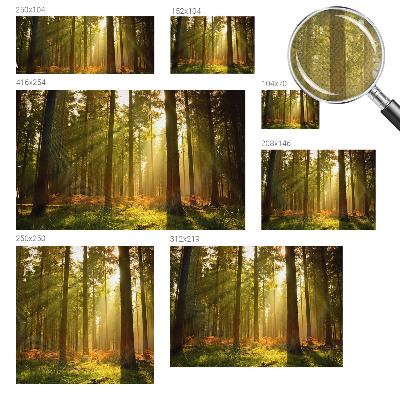 Removable wall mural wallpaper with a forest morning design