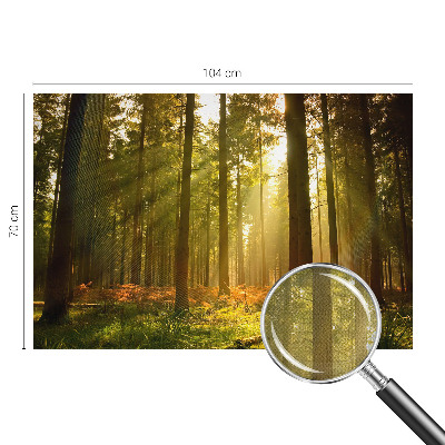 Removable wall mural wallpaper with a forest morning design