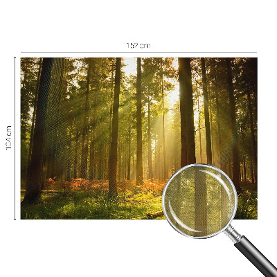 Removable wall mural wallpaper with a forest morning design