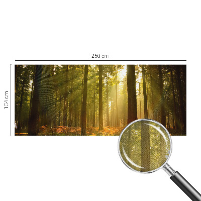 Removable wall mural wallpaper with a forest morning design