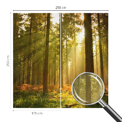 Removable wall mural wallpaper with a forest morning design