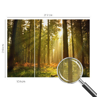 Removable wall mural wallpaper with a forest morning design
