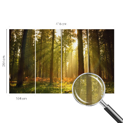 Removable wall mural wallpaper with a forest morning design