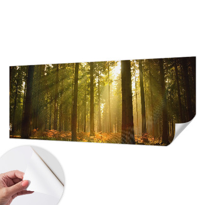 Removable wall mural wallpaper with a forest morning design