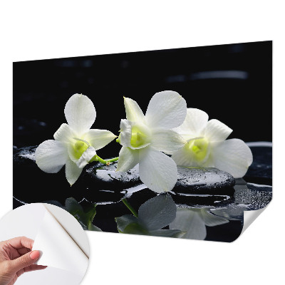Peel and stick wall mural for kids' room with a flowers and stones motif