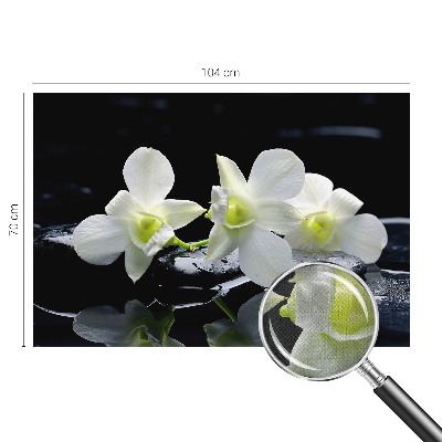 Peel and stick wall mural for kids' room with a flowers and stones motif