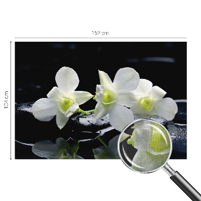 Peel and stick wall mural for kids' room Flowers and stones