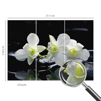 Peel and stick wall mural for kids' room with a flowers and stones motif