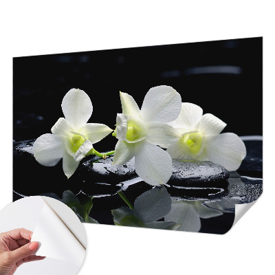 Peel and stick wall mural for kids' room with a flowers and stones motif