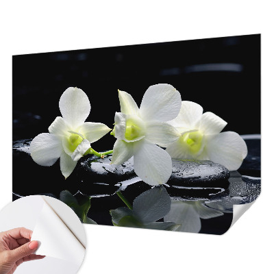 Peel and stick wall mural for kids' room with a flowers and stones motif