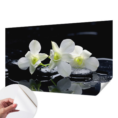 Peel and stick wall mural for kids' room with a flowers and stones motif