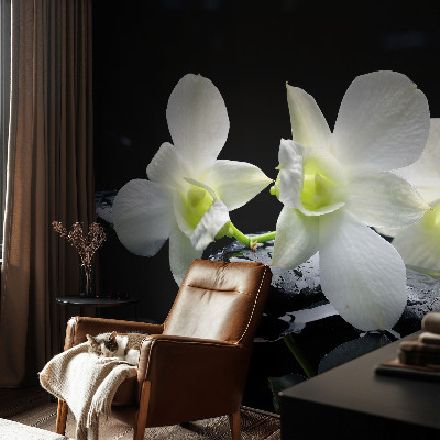 Peel and stick wall mural for kids' room Flowers and stones