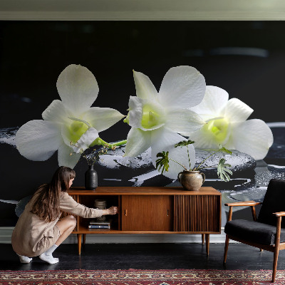 Peel and stick wall mural for kids' room with a flowers and stones motif