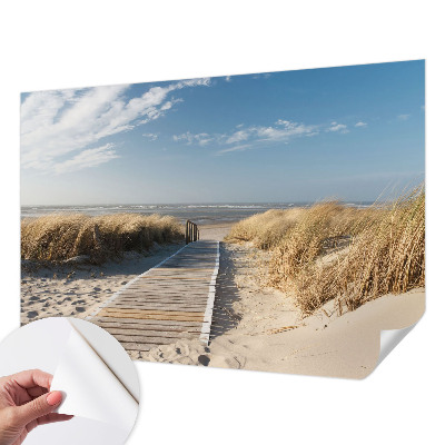 Children's wall mural with a sea path design