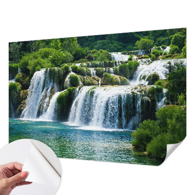 Peel and stick wall mural featuring a natural harmony design