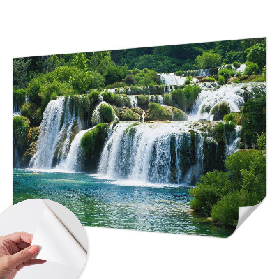 Peel and stick wall mural featuring a natural harmony design