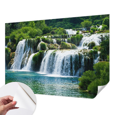 Peel and stick wall mural featuring a natural harmony design