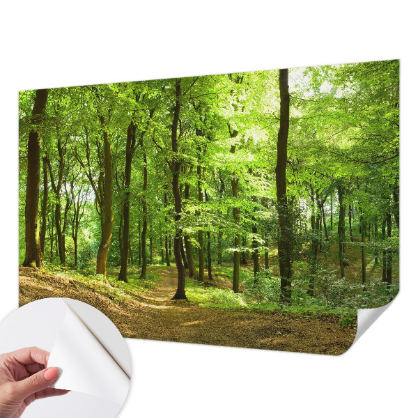 Peel and stick wallpaper mural with a natural path design