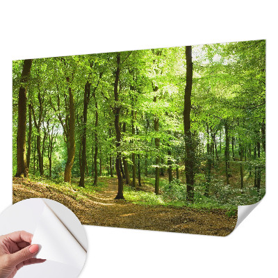 Peel and stick wallpaper mural with a natural path design