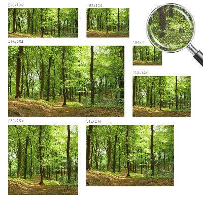 Peel and stick wallpaper mural with a natural path design