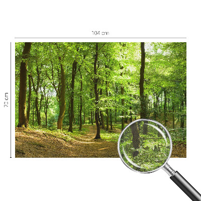 Peel and stick wallpaper mural with a natural path design