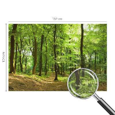 Peel and stick wallpaper mural with a natural path design