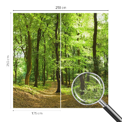 Peel and stick wallpaper mural with a natural path design