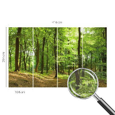 Peel and stick wallpaper mural Natural path