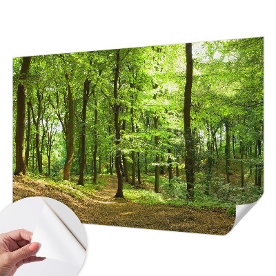 Peel and stick wallpaper mural with a natural path design